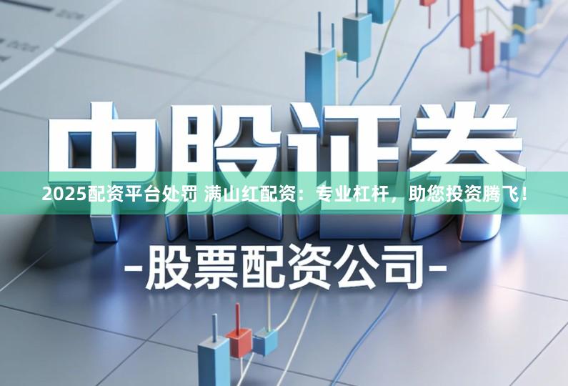 2025配资平台处罚 满山红配资：专业杠杆，助您投资腾飞！