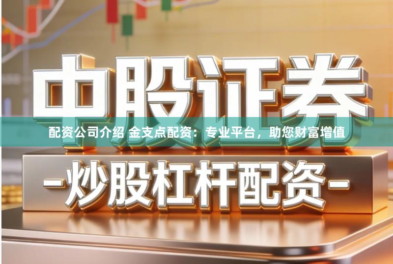 配资公司介绍 金支点配资：专业平台，助您财富增值