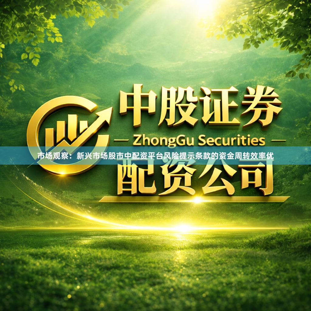 市场观察：新兴市场股市中配资平台风险提示条款的资金周转效率优