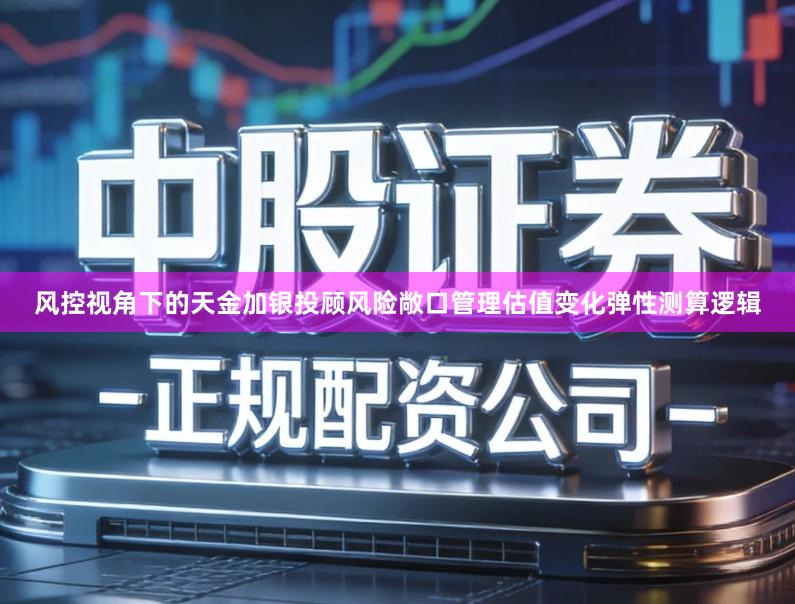 风控视角下的天金加银投顾风险敞口管理估值变化弹性测算逻辑