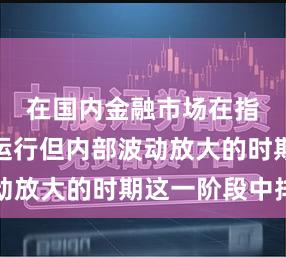 在国内金融市场在指数横向运行但内部波动放大的时期这一阶段中排