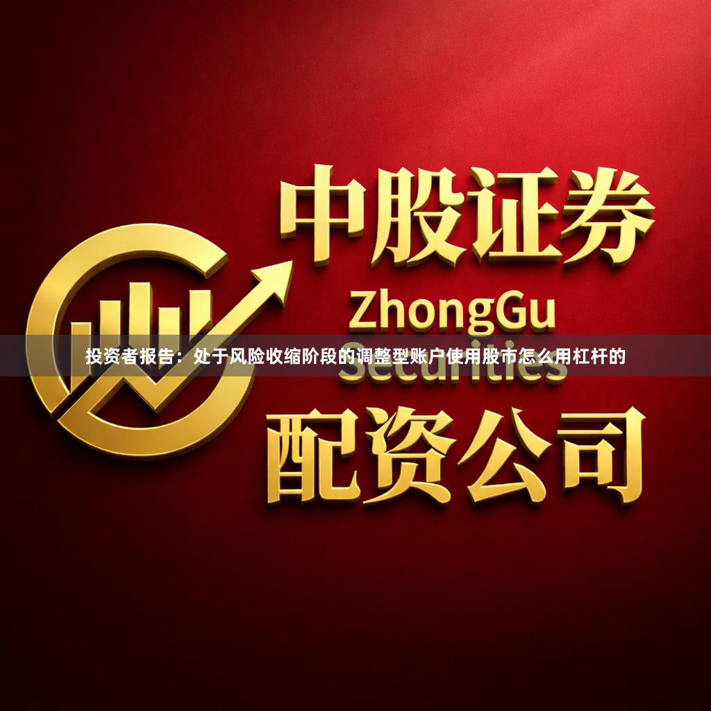 投资者报告：处于风险收缩阶段的调整型账户使用股市怎么用杠杆的